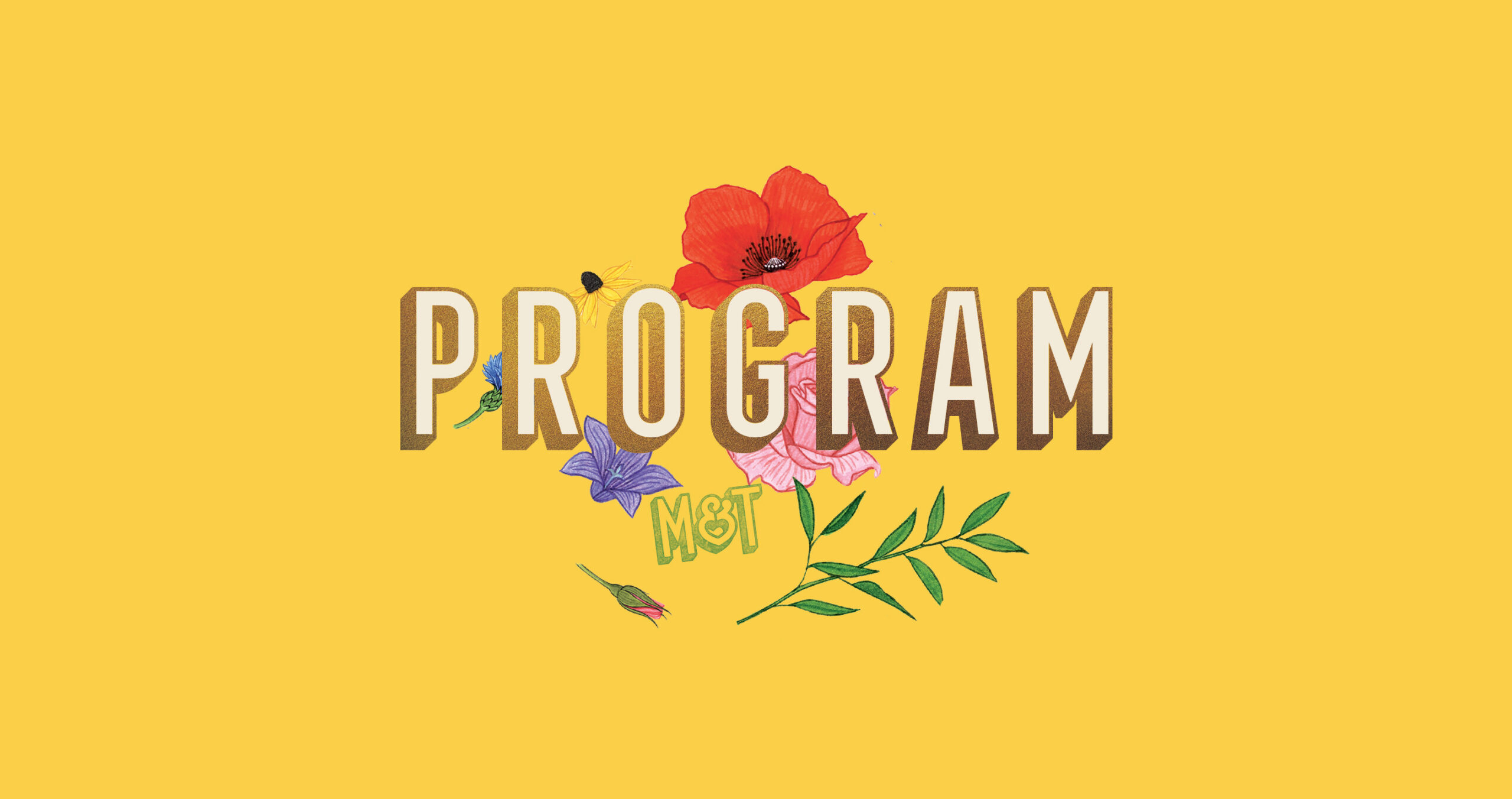 program